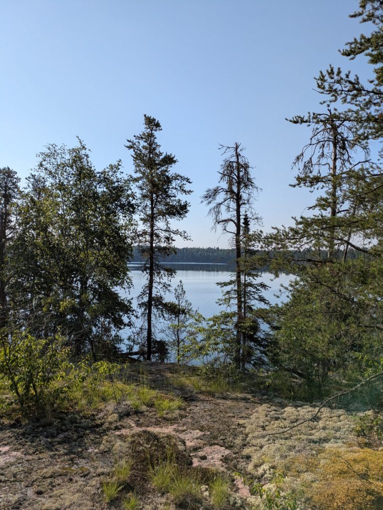 PXL_20260710_133855605