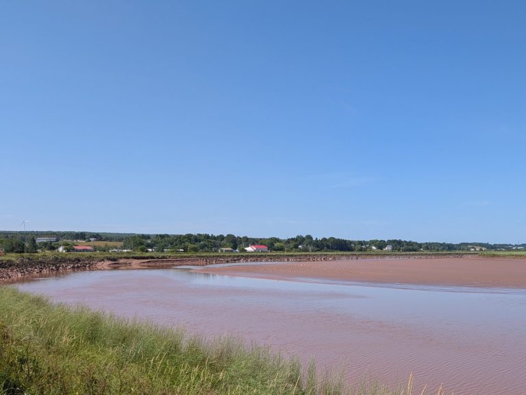 PXL_20260726_140738373