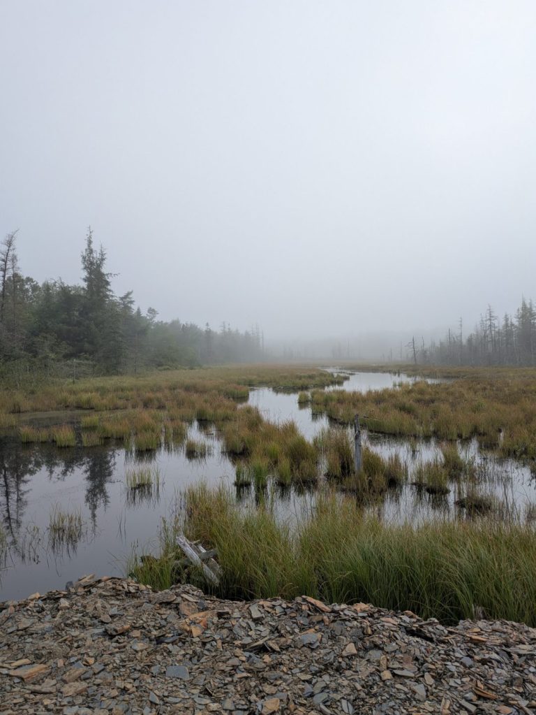 PXL_20260729_112747183