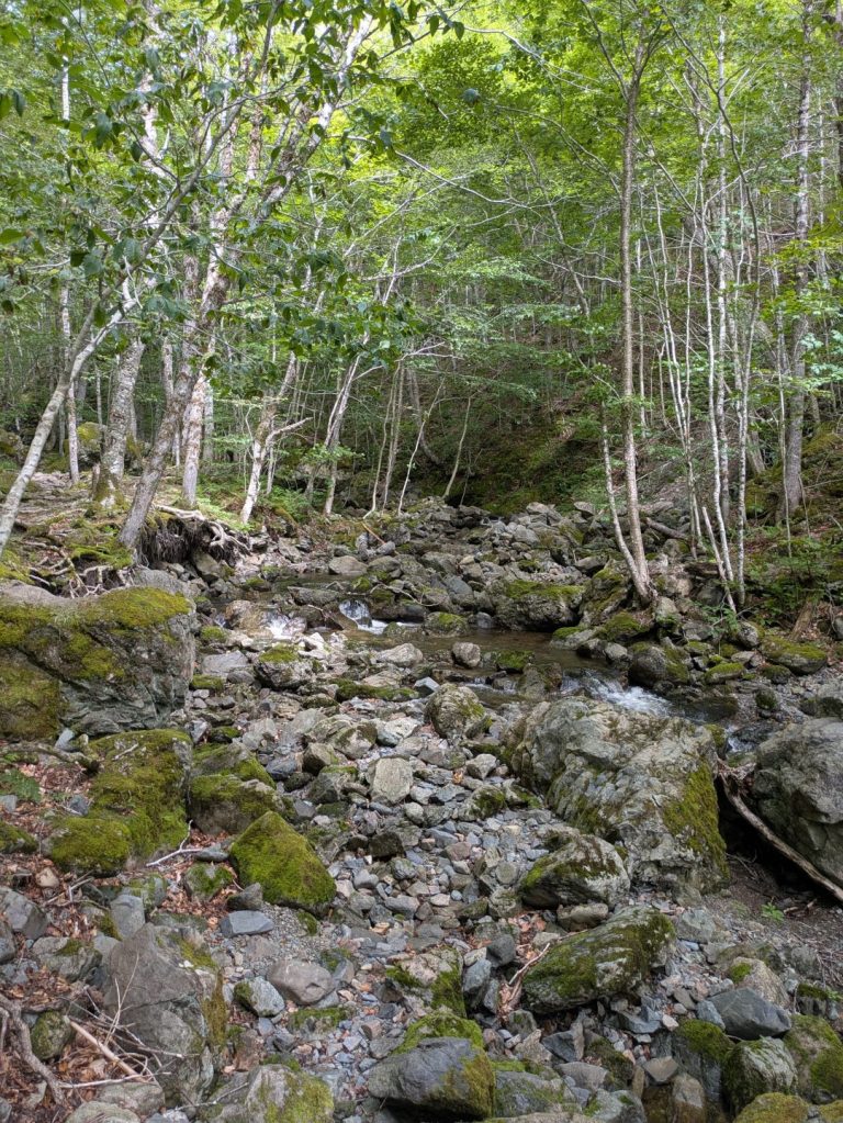 PXL_20260802_141122139