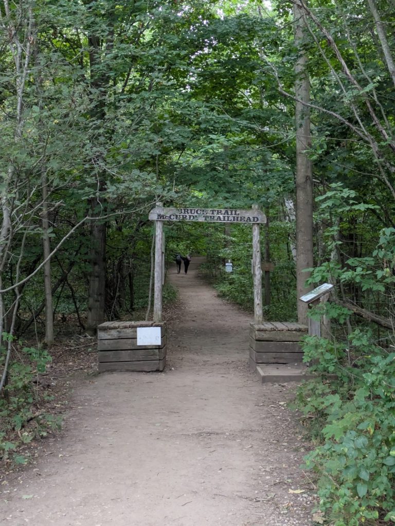 PXL_20260817_195625557