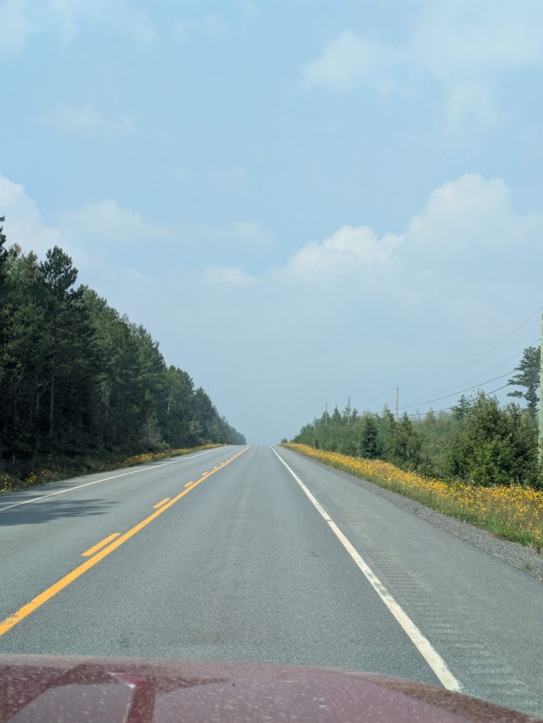 PXL_20260822_162539457.MP